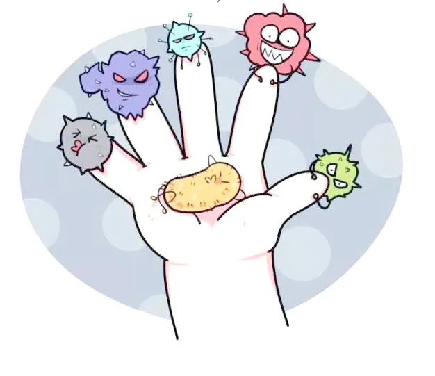 手部细菌和病毒温床示意图